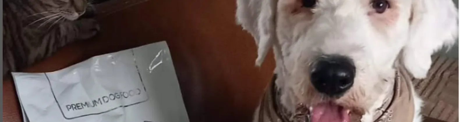 Cute dog with dog food bag