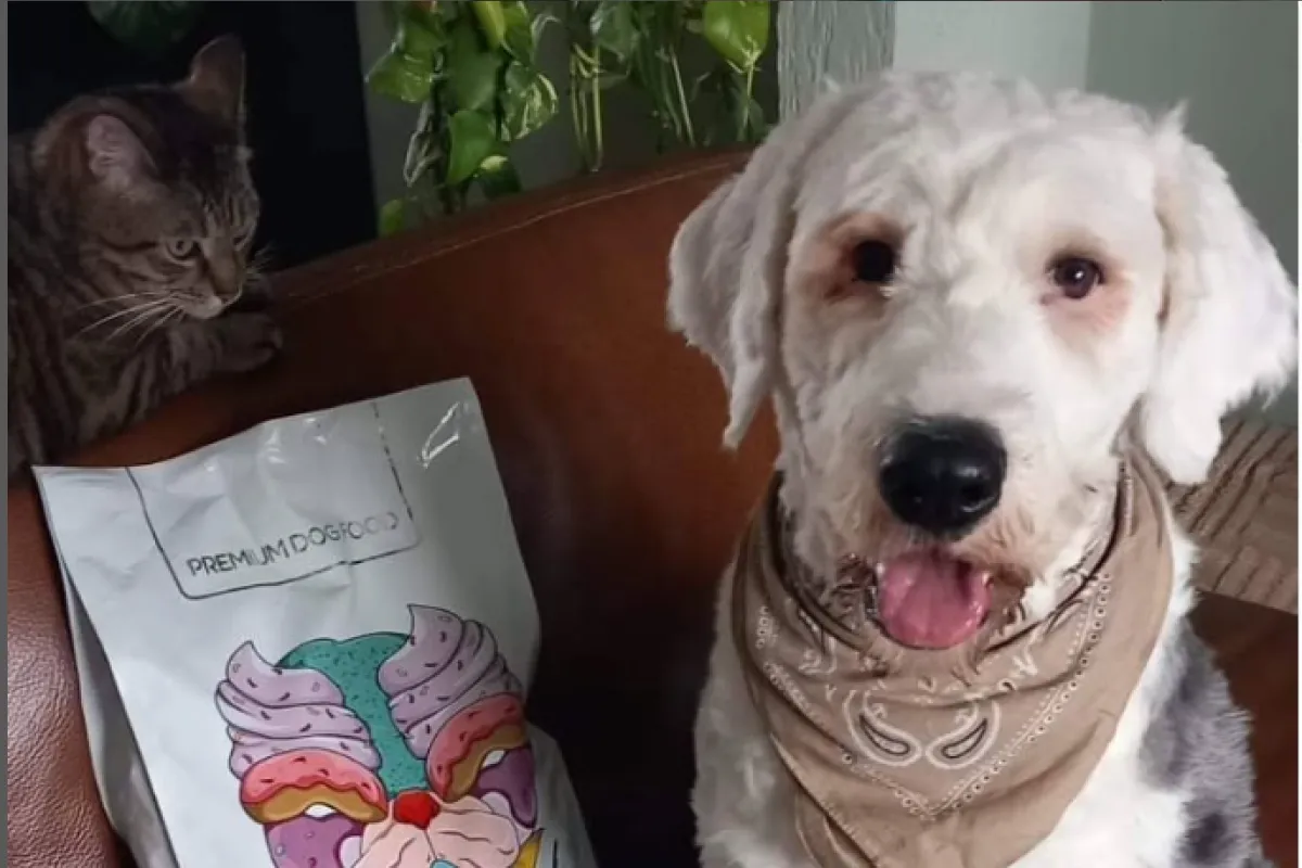 Cute dog with dog food bag