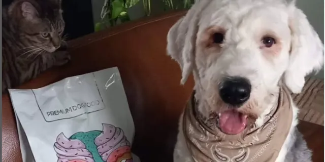 Cute dog with dog food bag